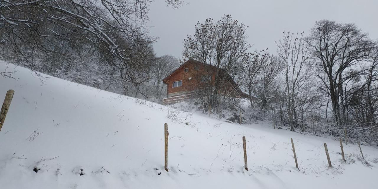 Villa L Ame et Son du Coeur à Dorenaz Extérieur photo